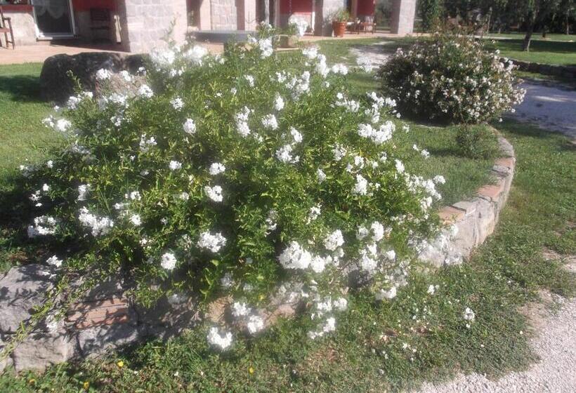 בית מלון כפרי Agriturismo Casal Grande