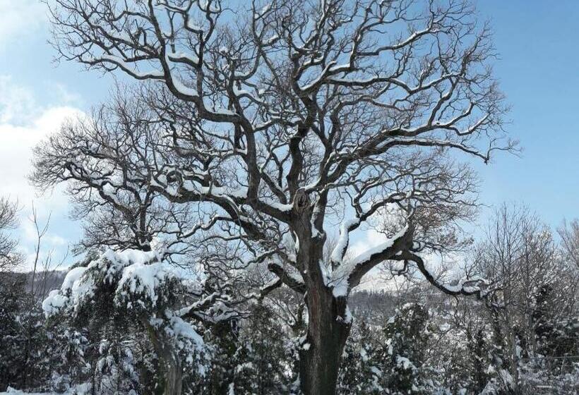 فندق Agriturismo Vallonga