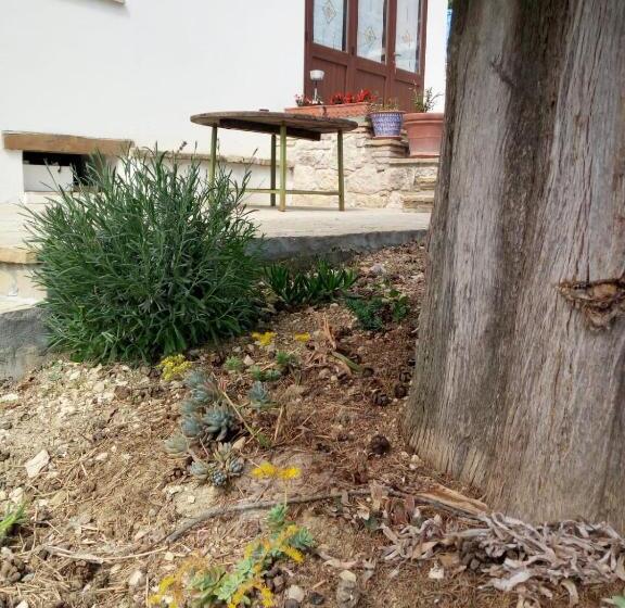 فندق Agriturismo Vallonga