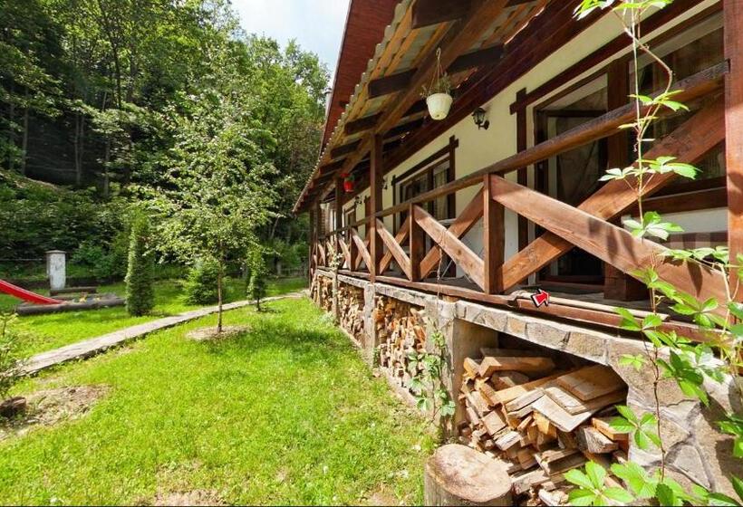 هتل Chalet Vedmezhe