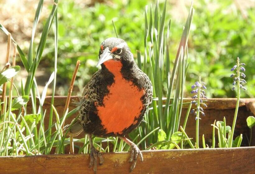 酒店 Estancia La Angostura