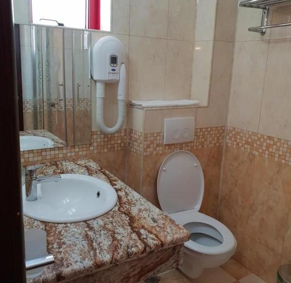 ホテル Pensiunea Ghiocela