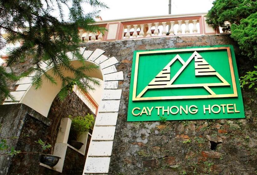 هتل Khách Sạn Cây Thông