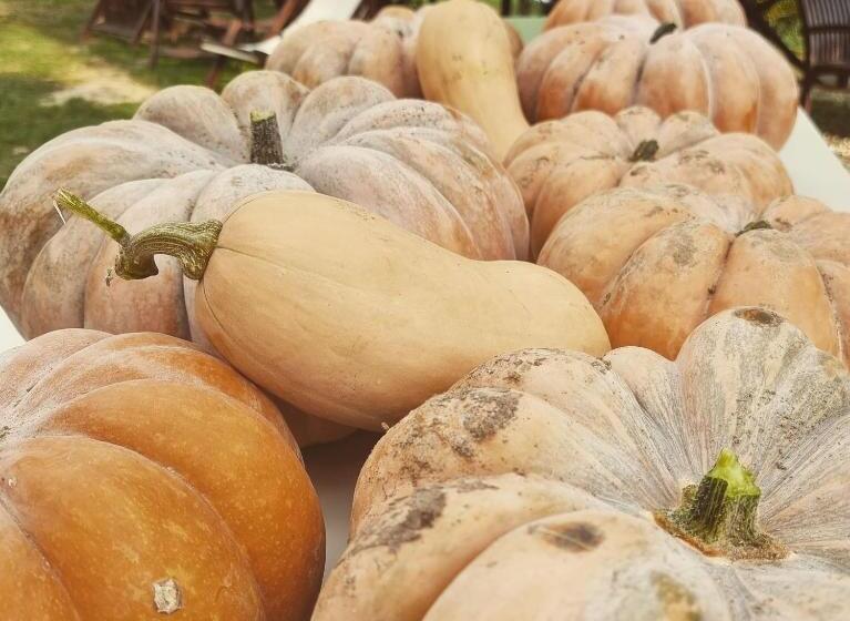 בית מלון כפרי La Collina Degli Ulivi