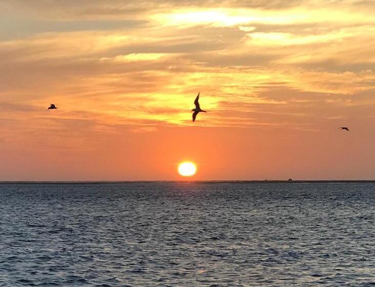 בית מלון כפרי Lala Lodge Pemba Zanzibar