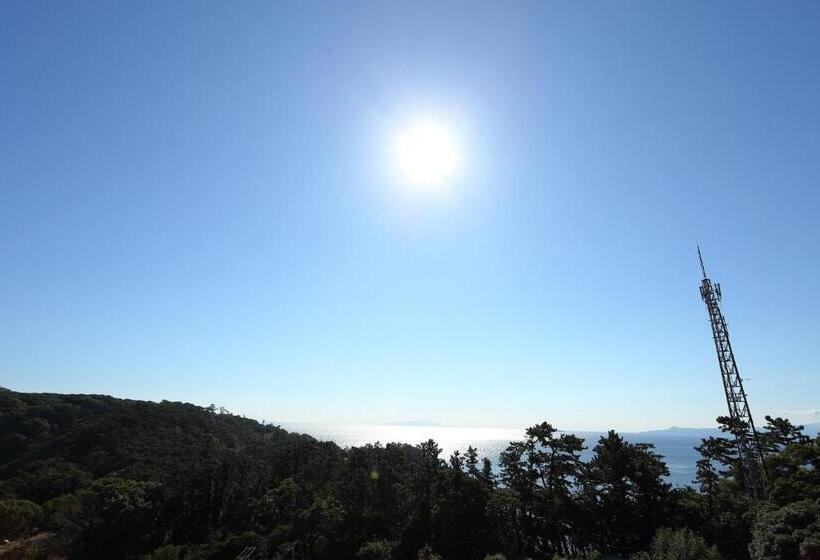 בית מלון כפרי Manazuru Marin