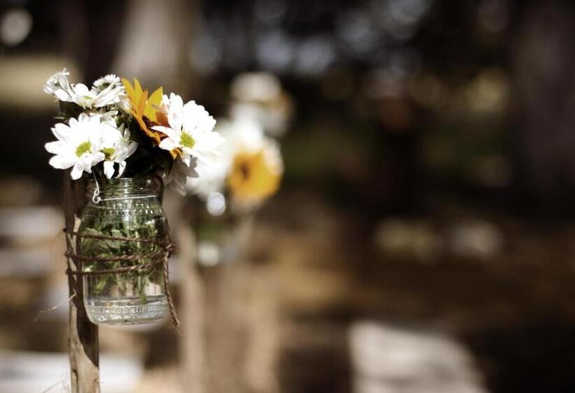 فندق Schaftplaas Cottages