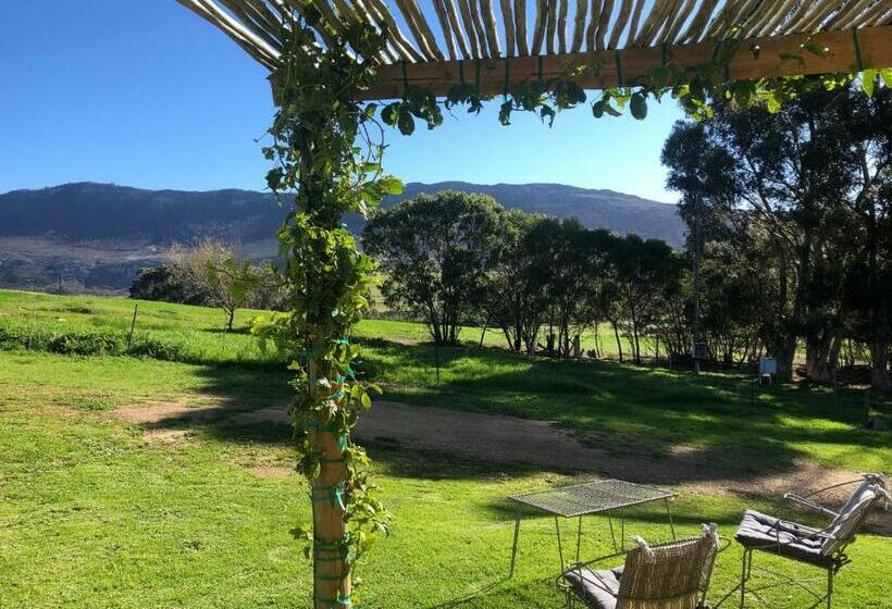 فندق Shabach Farm