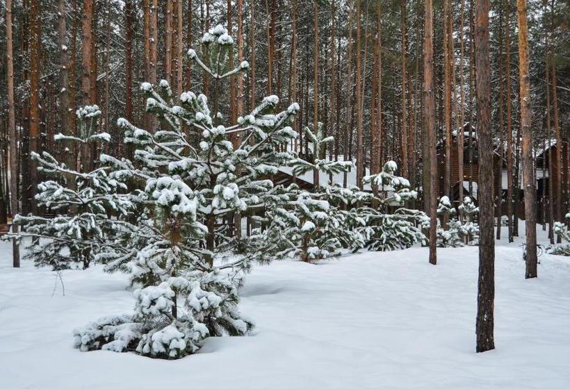 בית מלון כפרי Sobi