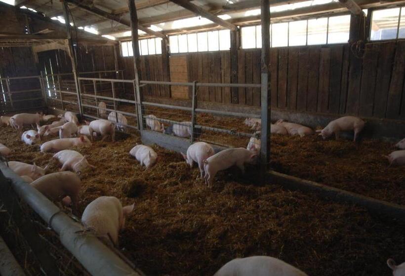 ホテル Valli Unite