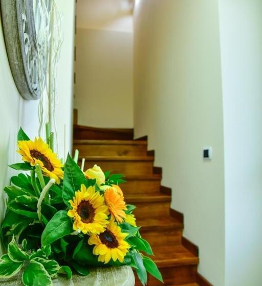 בית מלון כפרי Villa Aurora