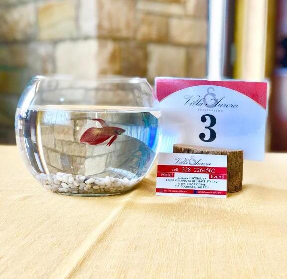 בית מלון כפרי Villa Aurora