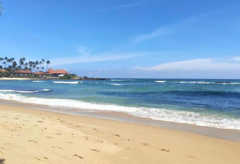 Отель White Lion Paradise Dikwella