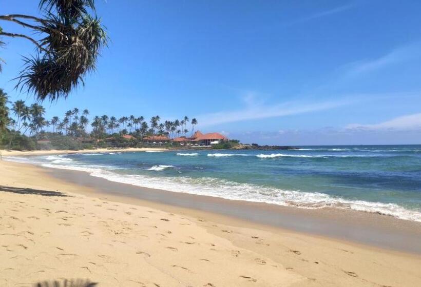 Отель White Lion Paradise Dikwella