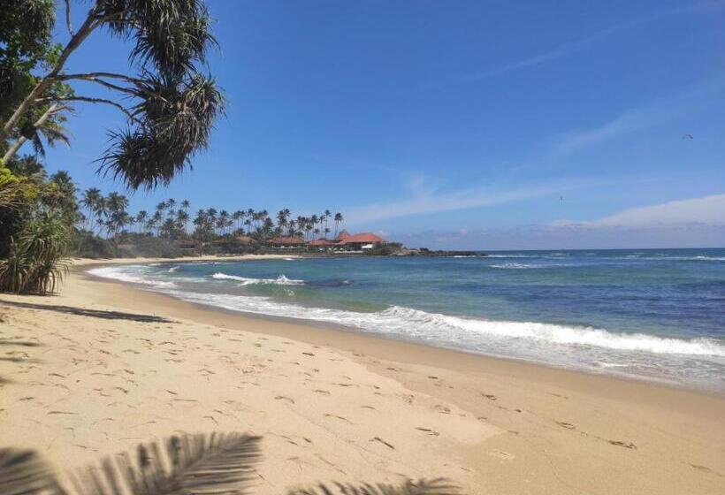 Отель White Lion Paradise Dikwella