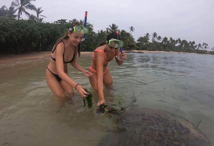 Отель White Lion Paradise Dikwella