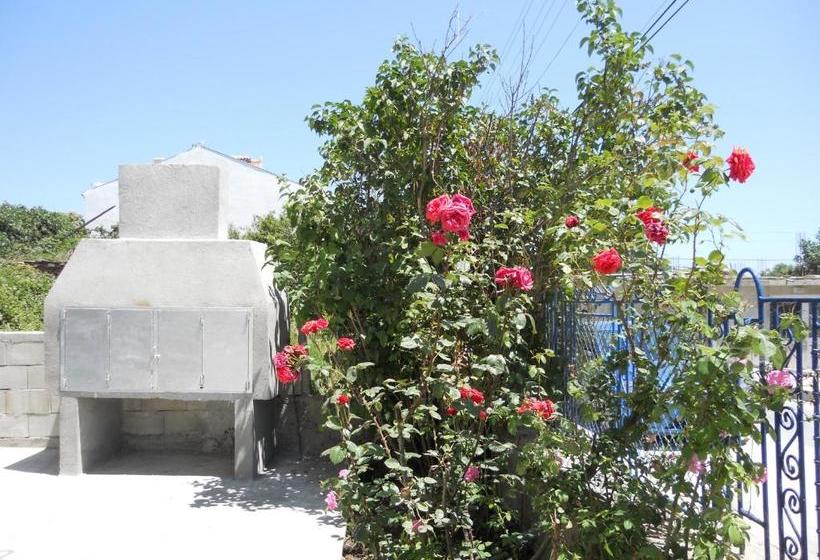 펜션 Guest House Tania