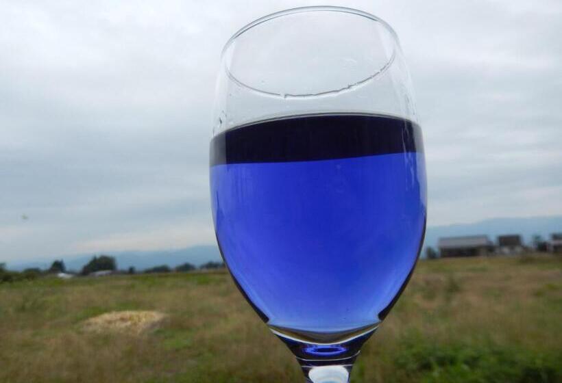 פנסיון B&b Toyonoakari