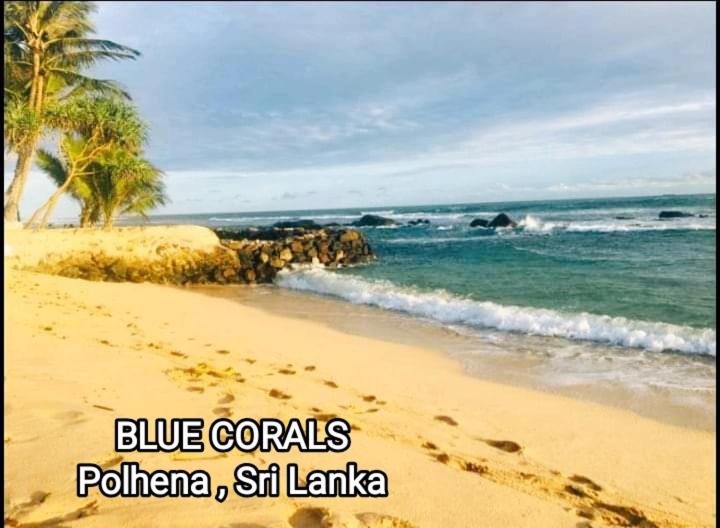 펜션 Blue Corals Beach Bungalow