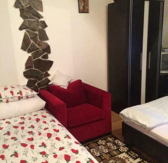 פנסיון Casa Ionela Petreus