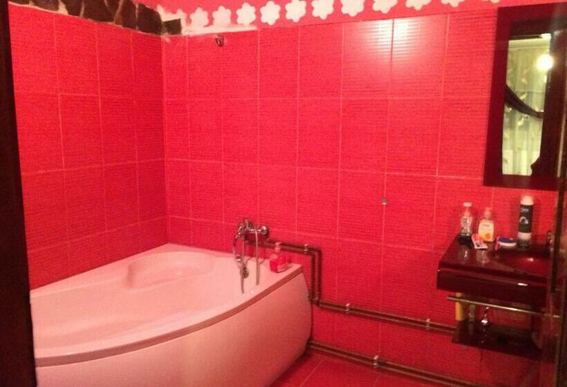 פנסיון Casa Ionela Petreus