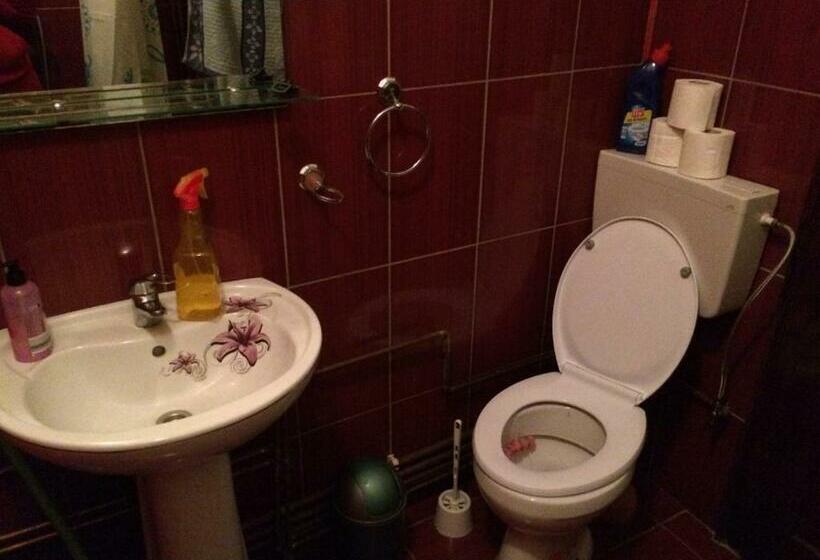 פנסיון Casa Ionela Petreus