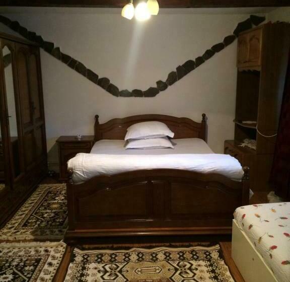 פנסיון Casa Ionela Petreus