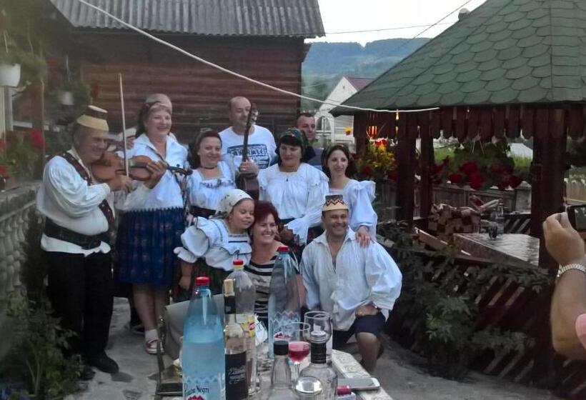 פנסיון Casa Ionela Petreus