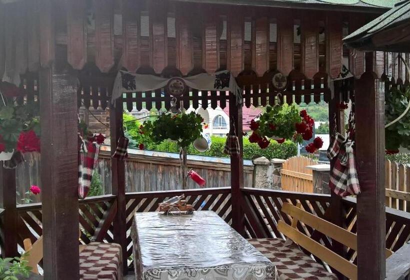 פנסיון Casa Ionela Petreus