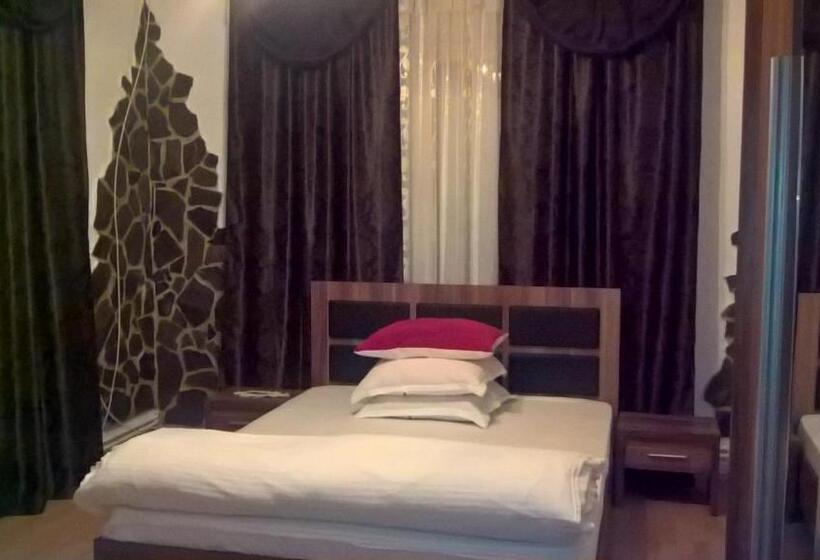 פנסיון Casa Ionela Petreus