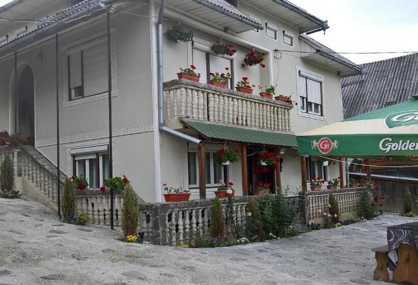 פנסיון Casa Ionela Petreus