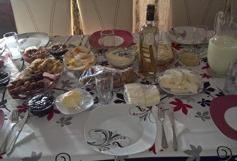 פנסיון Casa Ionela Petreus