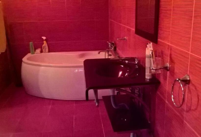 פנסיון Casa Ionela Petreus