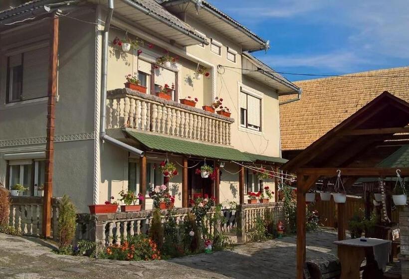 פנסיון Casa Ionela Petreus