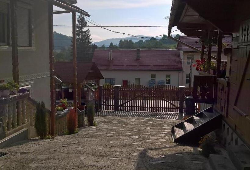 פנסיון Casa Ionela Petreus