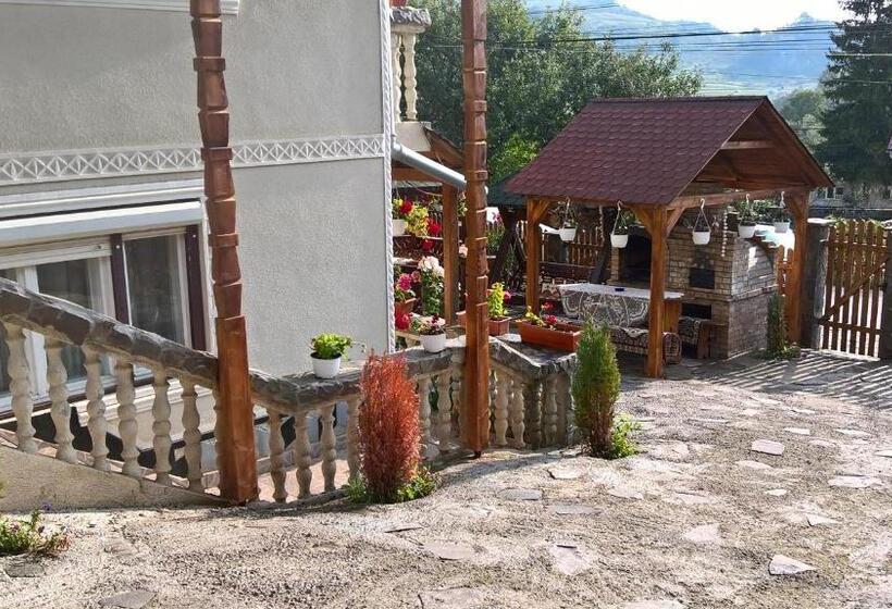 פנסיון Casa Ionela Petreus