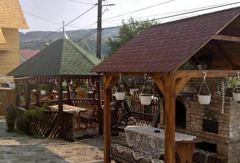 פנסיון Casa Ionela Petreus