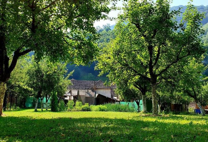 פנסיון Casa Maria Transalpina