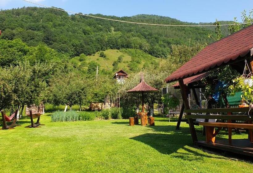 פנסיון Casa Maria Transalpina