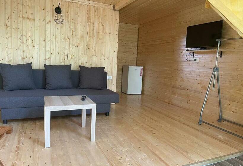 بنسيون Conacul Lui Patrick