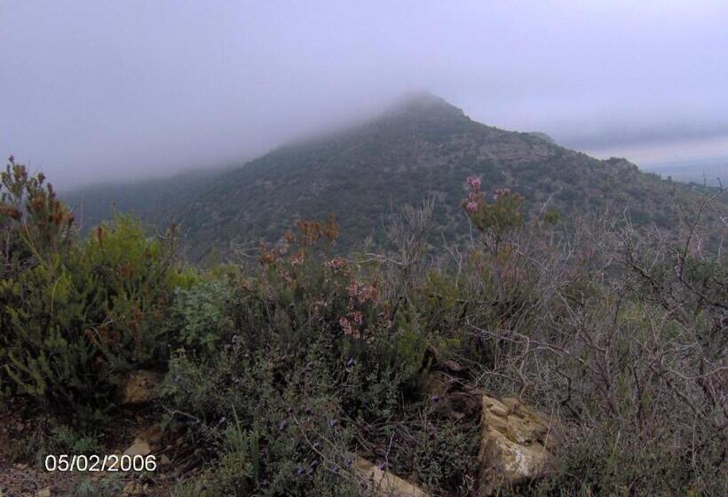 پانسیون Dar Aida Zaghouan