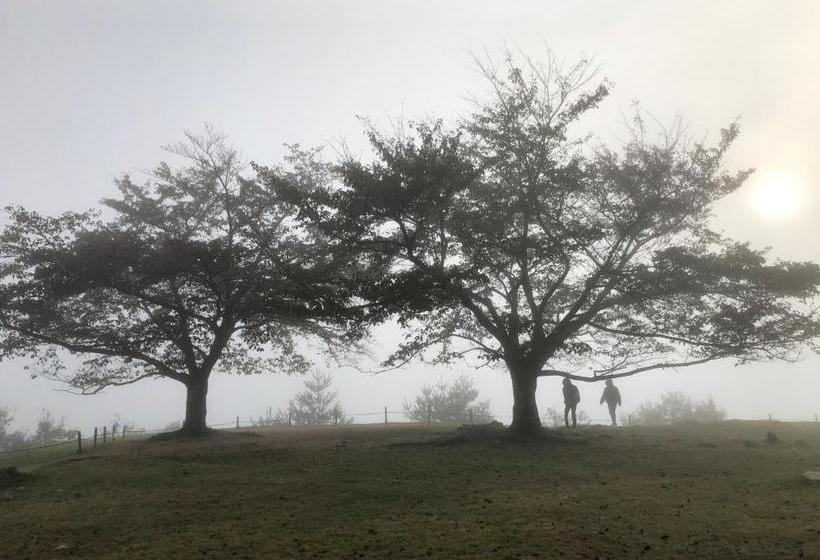بنسيون Fukunae House   Hostel