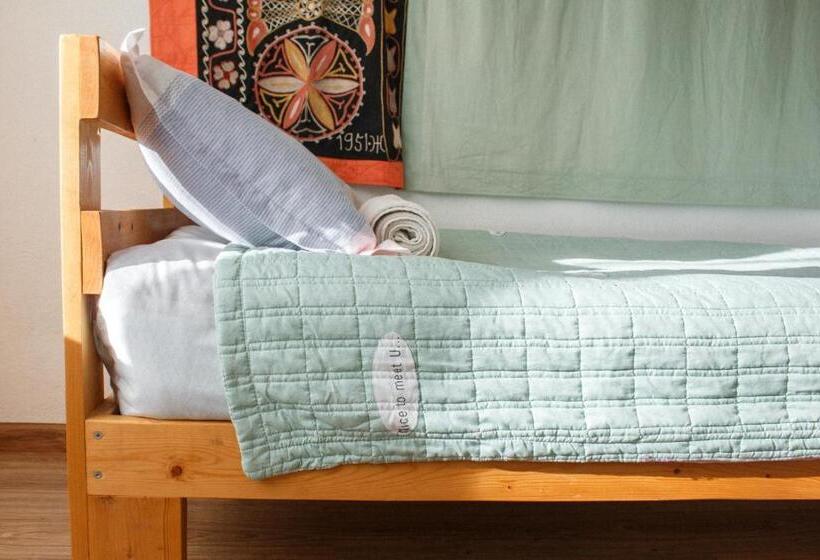 پانسیون Guest House Altyn Oimok