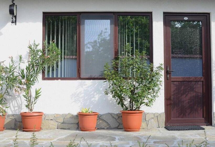 بنسيون Guest House Dar