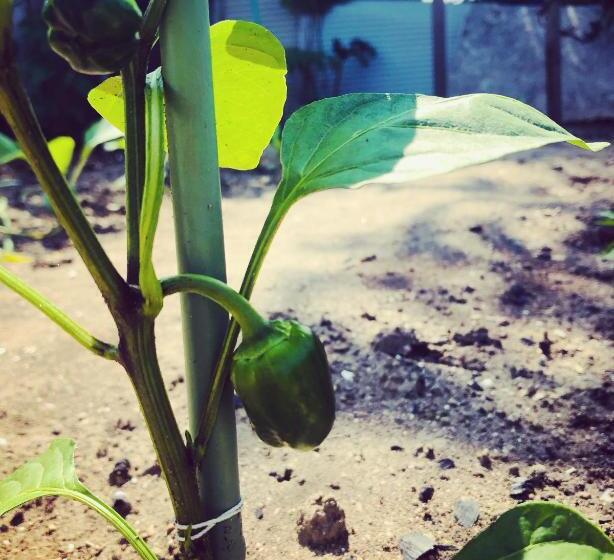 펜션 Guest House Kizuna