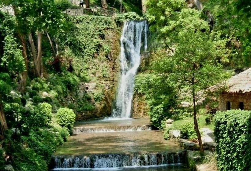 פנסיון Guest House Simon Green