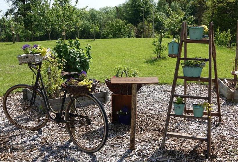 פנסיון Le Manoir Des Arômes