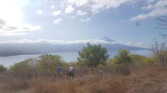 بنسيون Leko Lembo Guesthouse