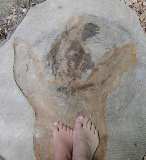 Пансион Les Cabanes Du Mont