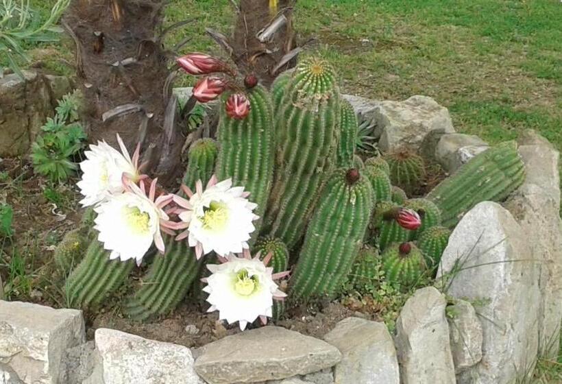 פנסיון Locanda Al Giglio D Oro